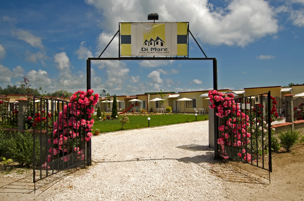 336-dsc1003 336 dsc1003